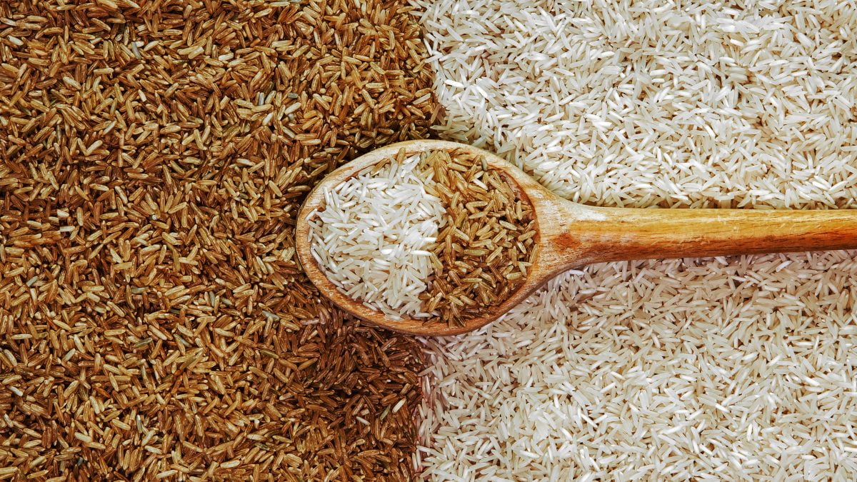 Why Digestion Matters: Brown Rice Compare to White Rice | Which Rice to choose in 2024