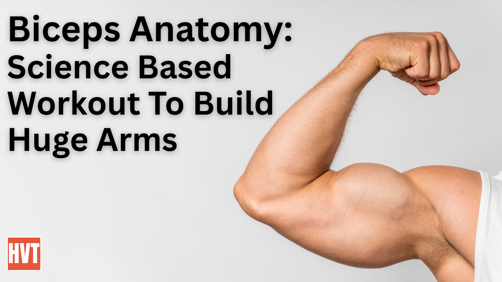 Biceps Anatomy