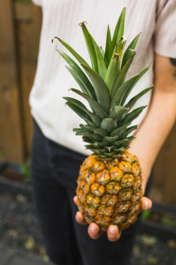 Pineapple
