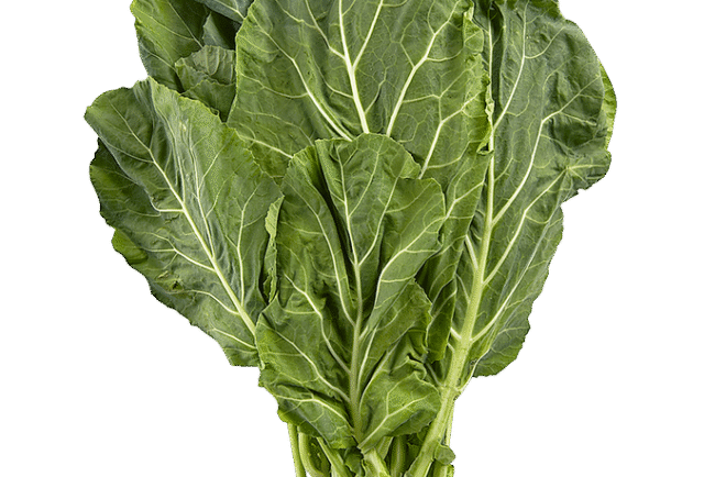 Collard Greens Support Bone Health and Calcium Retention