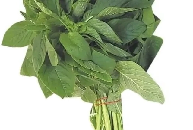 Amaranth Leaves: A Powerful Source of Protein for Vegetarians