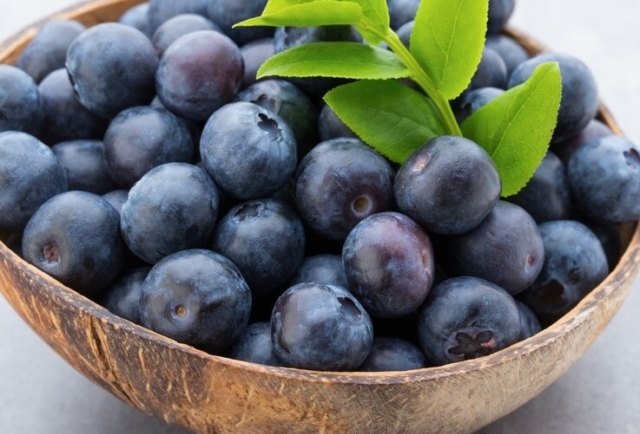 Jamun (Java Plum): The Fruit That May Help with Blood Sugar and Insulin Sensitivity