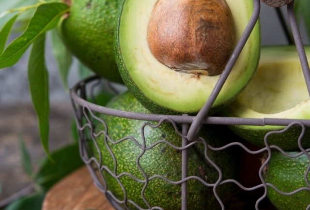 Why Avocados Help Build Muscle and Boost Recovery
