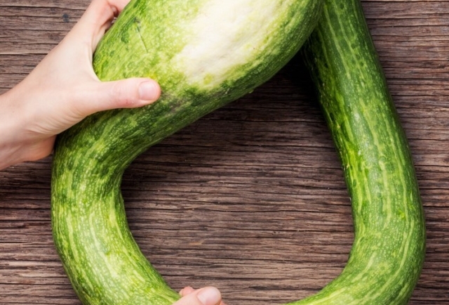 Snake Gourd Supports Hydration and Urinary Tract Health