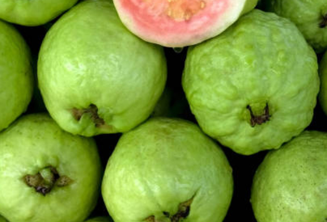 Guava: The Fruit That May Help with Blood Sugar Control and Immunity
