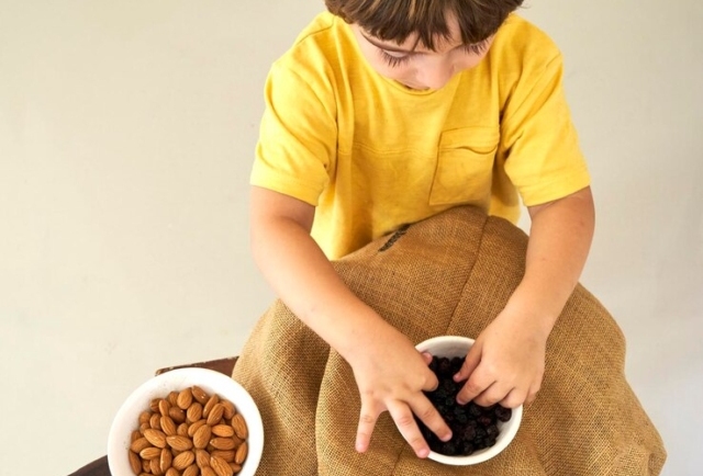 5 Best Dry Fruits For Toddlers