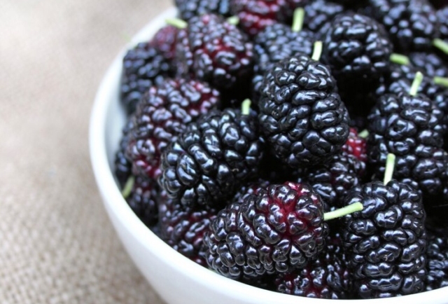 Mulberry: The Fruit That May Help with Blood Circulation and Vision Health