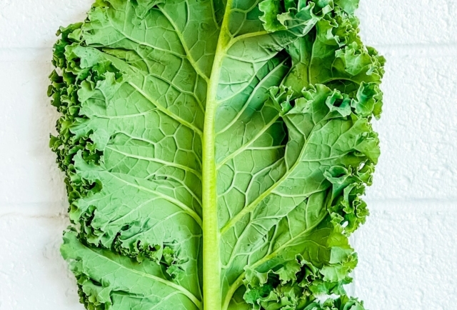 Kale Is a Nutrient Bomb for Stronger Bones and Better Immunity