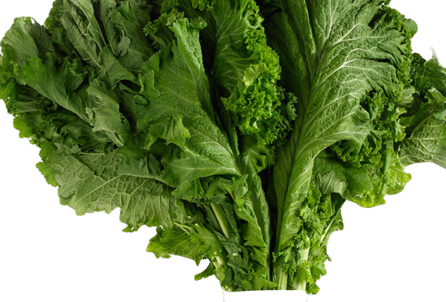 Mustard Greens Can Help Lower Cholesterol Naturally