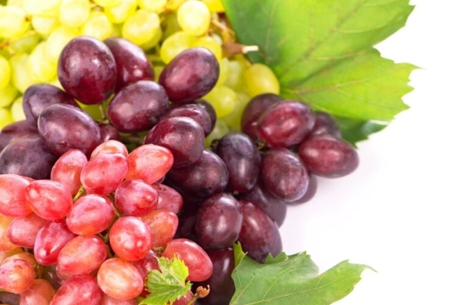 Grapes: The Fruit That May Help with Antioxidant Boost and Brain Health