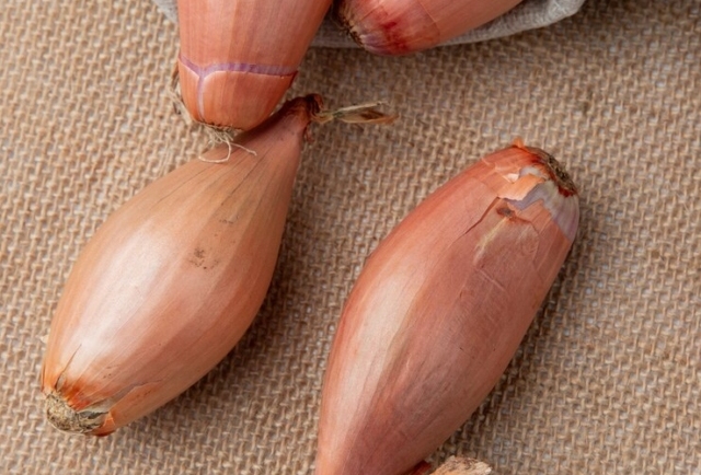 Shallots May Lower Bad Cholesterol Without Medication